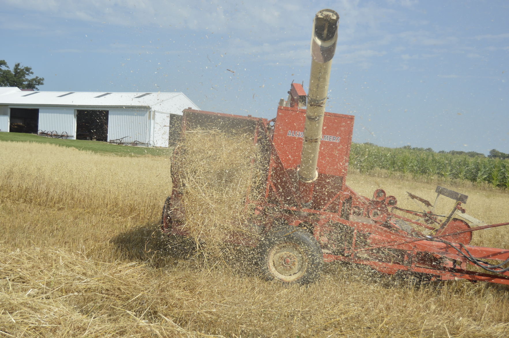 Threshing Day and Motorcycles (8).JPG